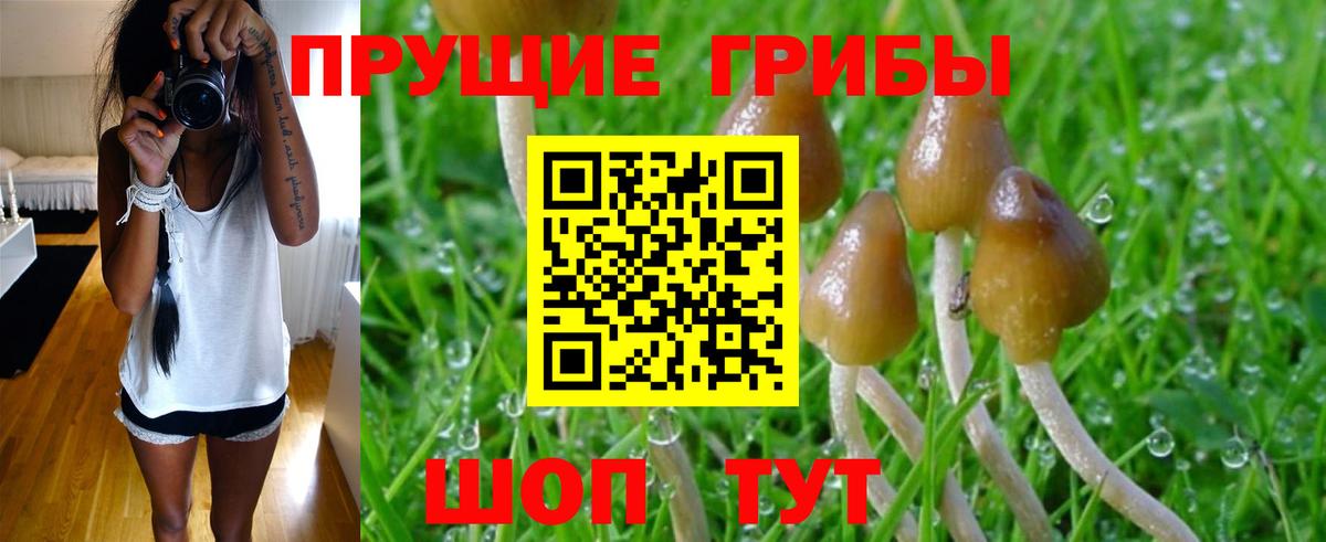 Псилоцибиновые грибы мухоморы Алатырь