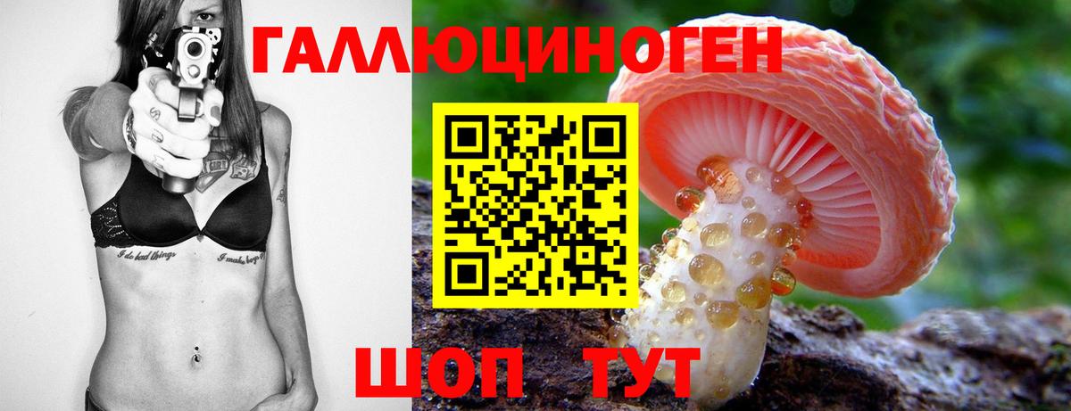 Галлюциногенные грибы GOLDEN TEACHER  Вход с VPN  Псилоцибиновые грибы прущие грибы  Алатырь 